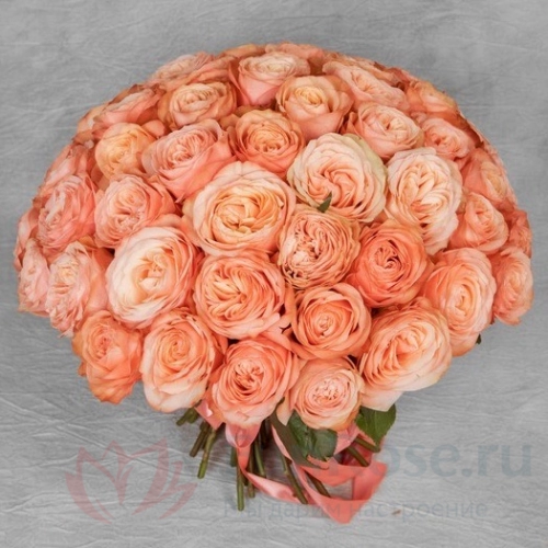 до 51 роза FunRose 51 Роза Кахала Оранжевый (60 см) 