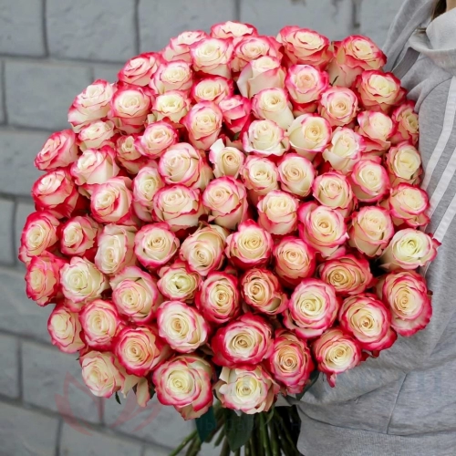 101 роза FunRose 81 Роза Эквадор Розовый (70 см) 
