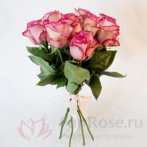до 25 роз FunRose 9 Роз Эквадор Розовый (60 см) 