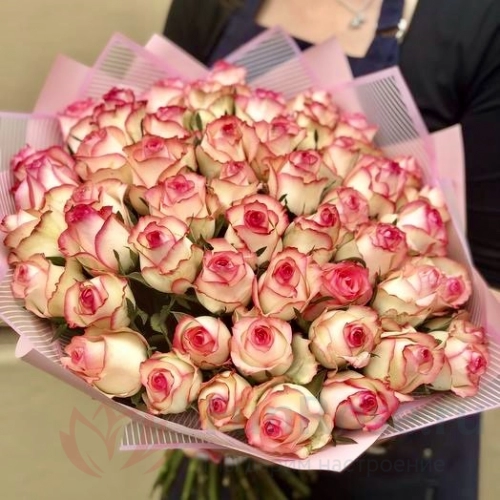 до 51 роза FunRose 51 Роза Эквадор Розовая (60 см) 