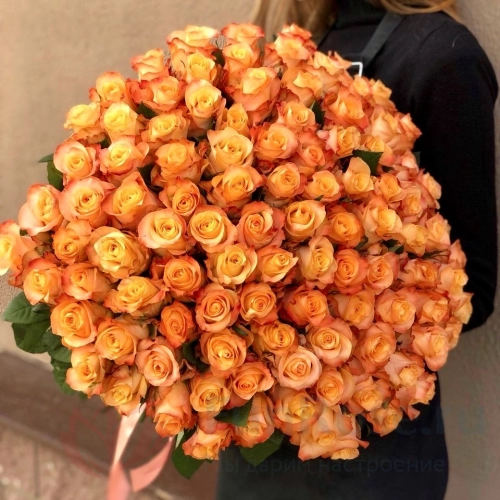 101 роза FunRose 101 Роза Эквадор Оранжевый (70 см) 