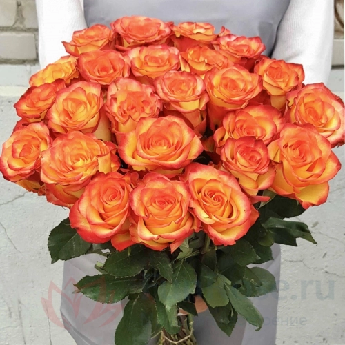 до 25 роз FunRose 25 Роз Эквадор Оранжевый (70 см) 