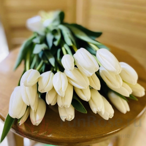 С тюльпанами FunRose 25 Тюльпан Белый  (40 см) 