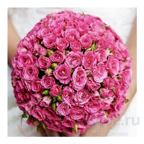 Кустовая роза FunRose 25 Роз Кустовых Розовый (35 см) 