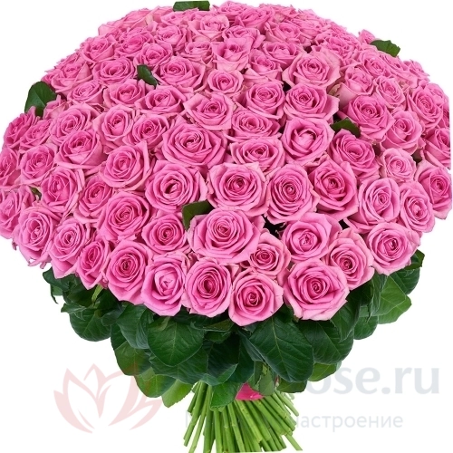 101 роза FunRose 101 Роза Аква Розовый (80 см) 