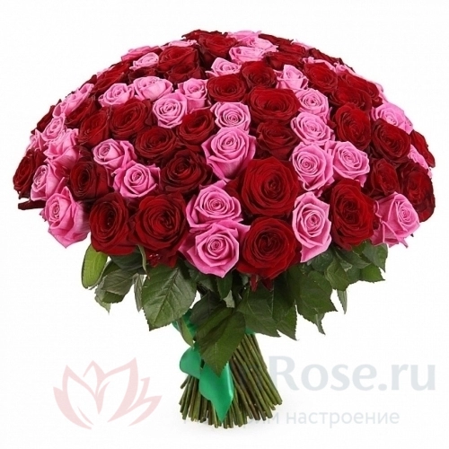 101 роза FunRose 101 Роза Эквадор Микс (70 см) 
