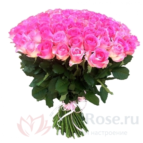 до 51 роза FunRose 51 Роза Кения Розовая (50 см) 