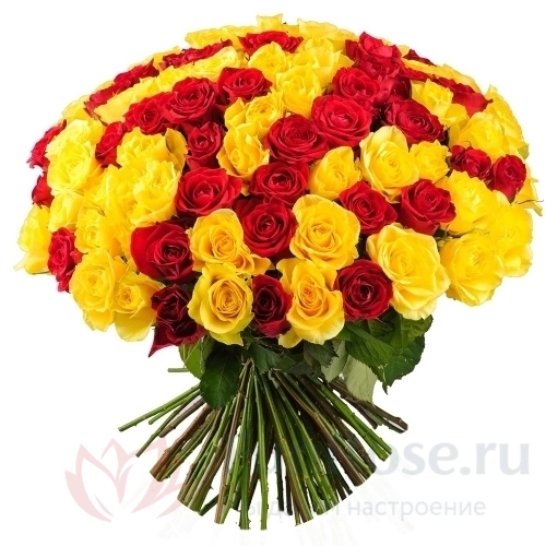 Розы FunRose 101 Роза Россия Микс (60 см) 