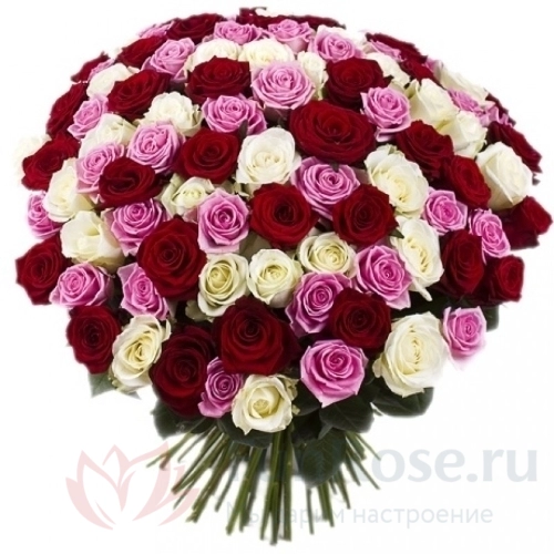 101 роза FunRose 101 Роза Россия Микс (80 см) 