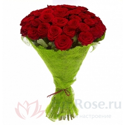 Розы FunRose 51 Роза Ред Наоми Красная (60 см) 