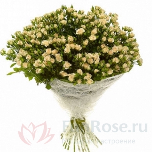 Розы FunRose 51 Роза Кустовая Белая (60 см) 