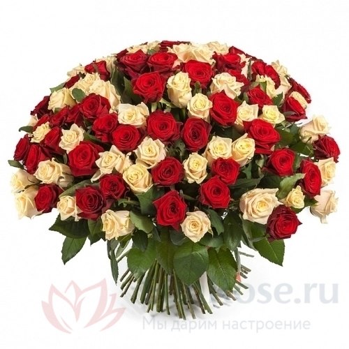 Розы FunRose 101 Роза Эквадор Микс (60 см) 
