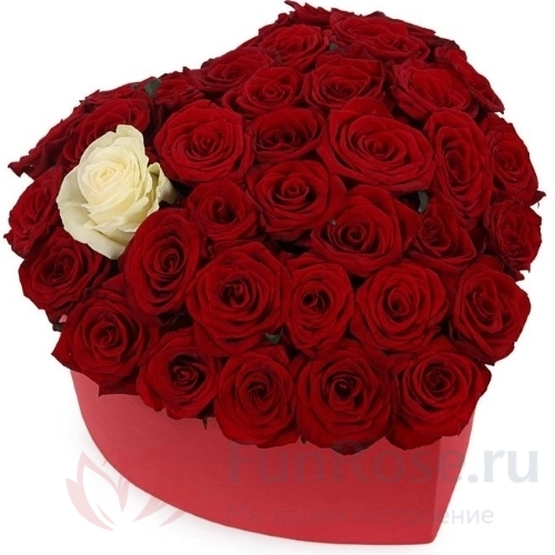 Цветы в коробке FunRose 51 Красная роза в коробке (25 см) 