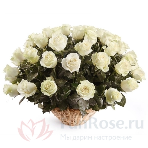 Корзины FunRose 51 Роза Россия Белый в корзине (40 см) 