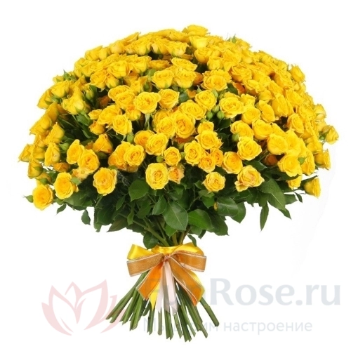 до 51 роза FunRose 51 Роза Кустовая Желтая (50 см) 