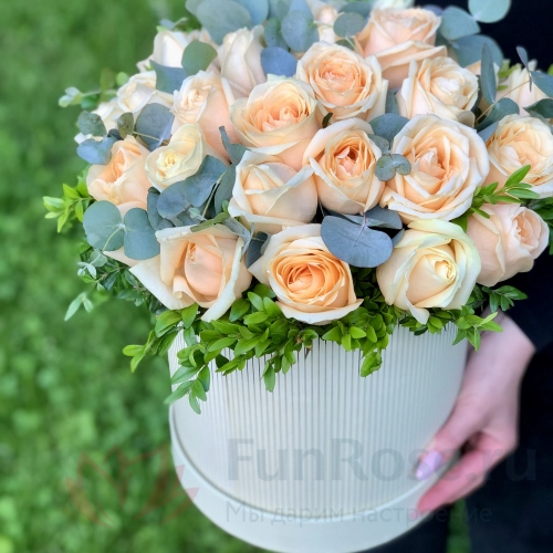 Розы FunRose 35 Роз Пинч Аваланж Золотистый (50 см) 