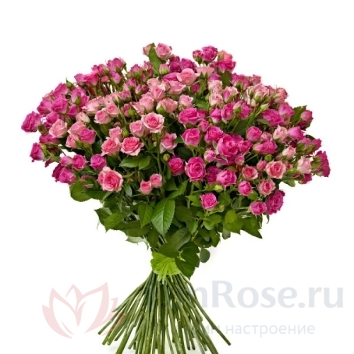 до 51 роза FunRose 51 Роза Кустовая Розовый (60 см) 