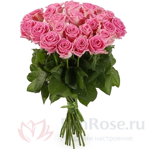 до 25 роз FunRose 25 Роз Россия Розовое (60 см) 