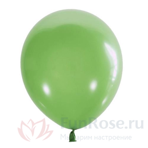 Гелиевые шары FunRose 1 Шарик зелёный 