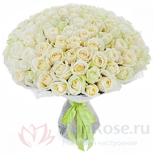 Розы FunRose 101 Роза Россия Белый (60 см) 