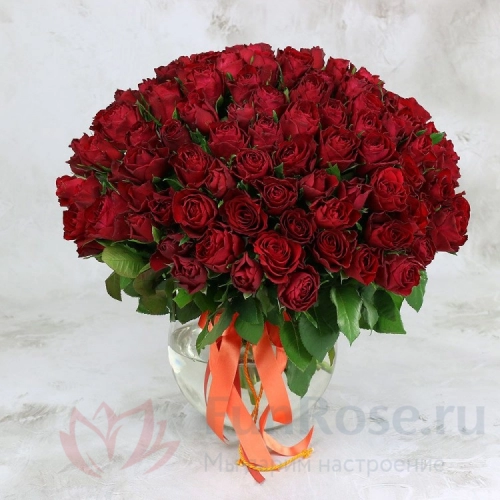 101 роза FunRose 101 Роза Кения Красная (40 см) 