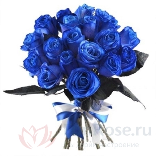 Синяя роза FunRose 19 Роз Синих (60 см) 