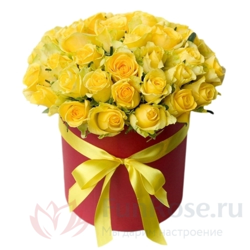 Розы FunRose 23 Роза Кения Желтый (30 см) 
