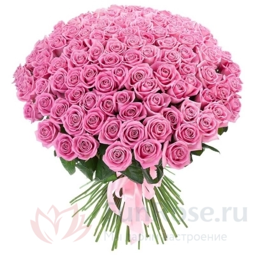 101 роза FunRose 101 Роза Эквадор Розовый (80 см) 