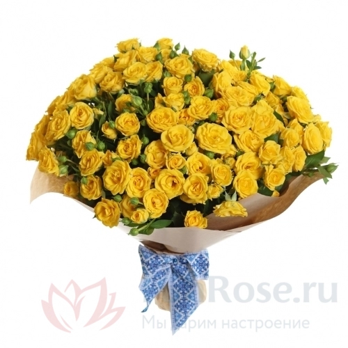 до 51 роза FunRose 51 Роза Кустовая Желтая (60 см) 