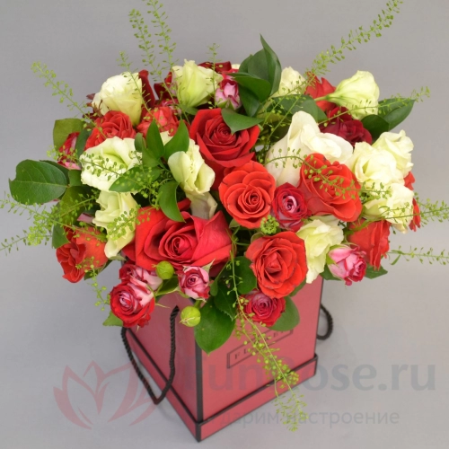 Цветы в коробке FunRose Муравейник в коробке (40 см) 