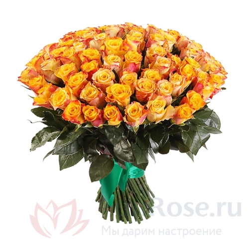 101 роза FunRose 101 Роза  Кения Оранжевый (40 см) 