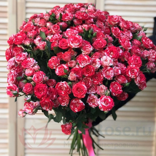 Кустовая роза FunRose 35 Кустовых роз сортовых (60 см) 