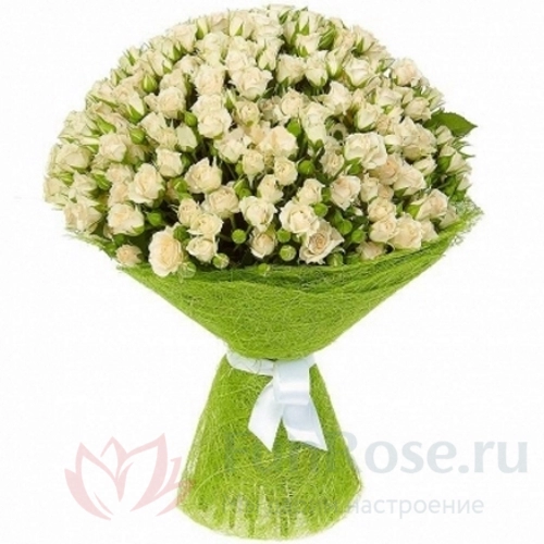 до 51 роза FunRose 51 Роза Кустовая Белая (60 см) 