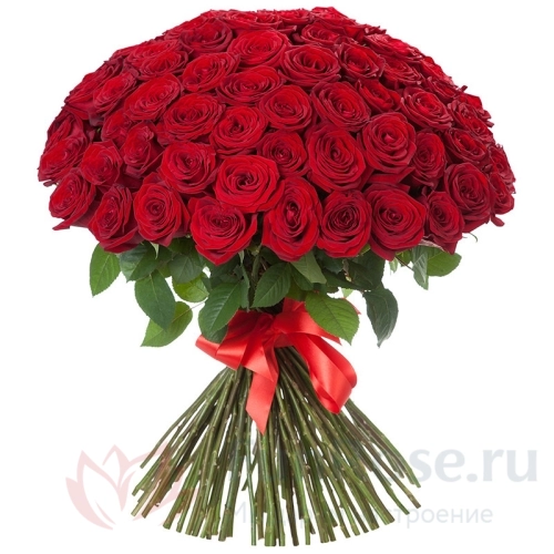 101 роза FunRose 101 Роза Эквадор Красные (90 см) 