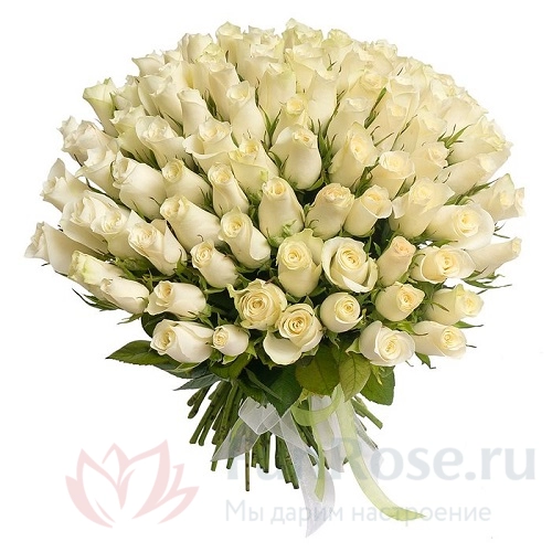 101 роза FunRose 101 Роза Кения Белый (40 см) 