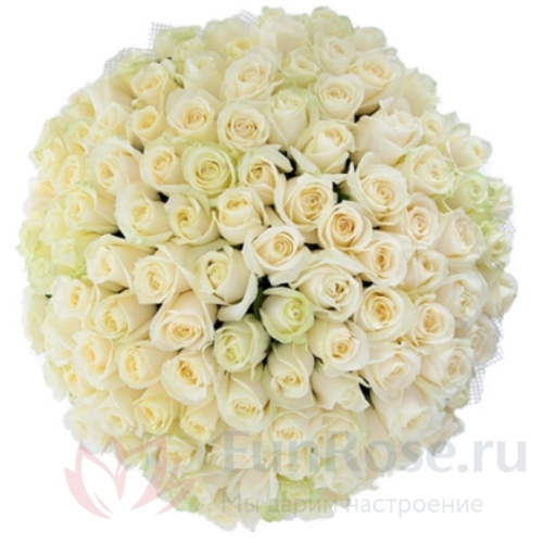 Розы FunRose 101 Роза Россия Белый (60 см) 