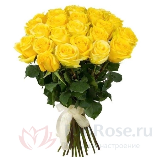 до 25 роз FunRose 19 Роз Эквадор Желтых (60 см) 