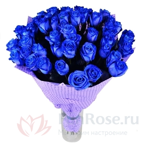 до 51 роза FunRose 35 Роз Синих (60 см) 
