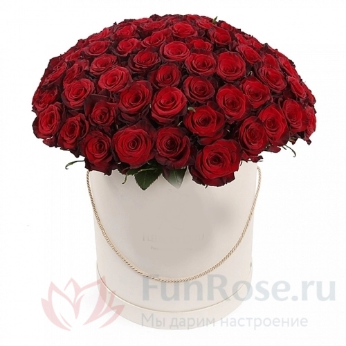 Розы FunRose 51 Роза Ред Наоми Красная в коробке (70 см) 