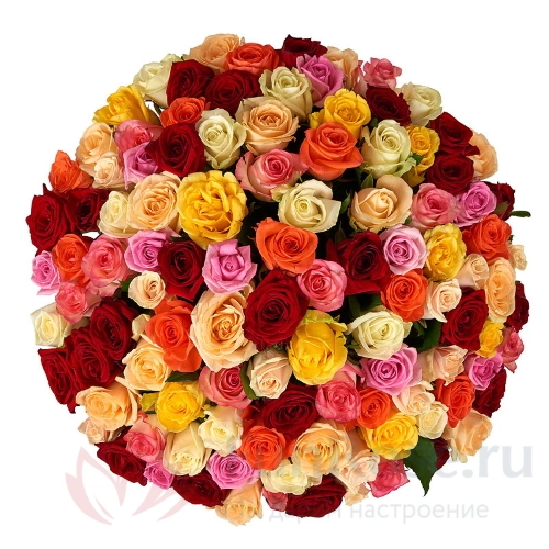101 роза FunRose 101 Роза Кения Микс (40 см) 