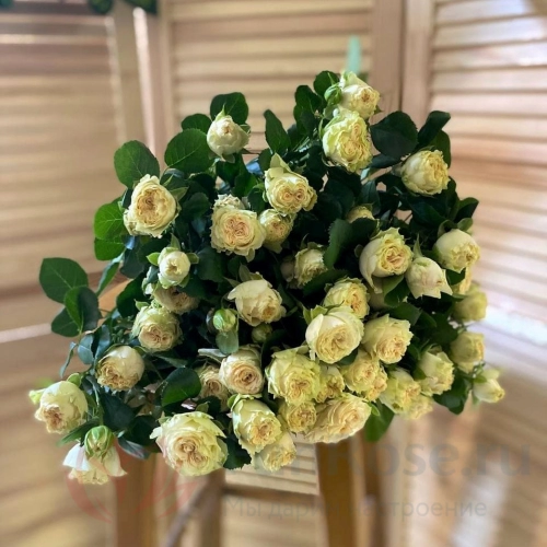 Кустовая роза FunRose 15 Роз Кустовая Белая (50 см) 