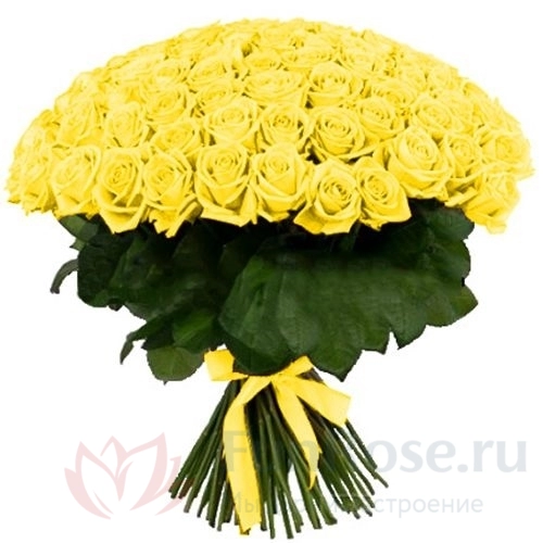 Розы FunRose 101 Роза Эквадор Желтый (60 см) 