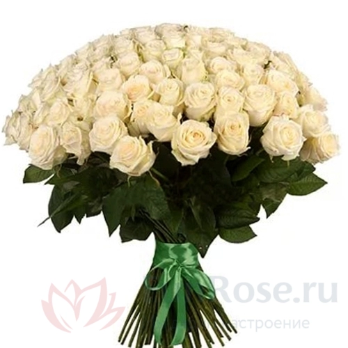 101 роза FunRose 101 Роза Эквадор Белый (70 см) 