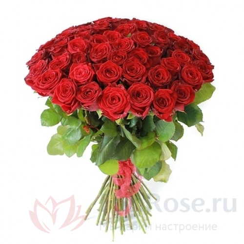 до 51 роза FunRose 51 Роза Ред Наоми Красный (45 см) 