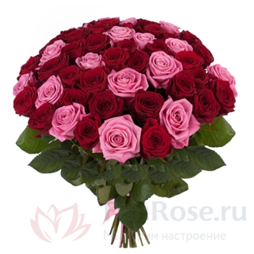до 51 роза FunRose 51 Роза Ред Наоми Микс (45 см) 