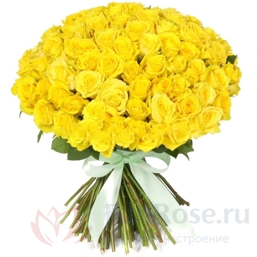 до 51 роза FunRose 51 Роза Кения Желтая (60 см) 