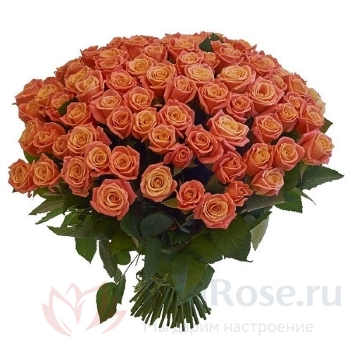 Розы FunRose 101 Роза Россия Оранжевый (70 см) 
