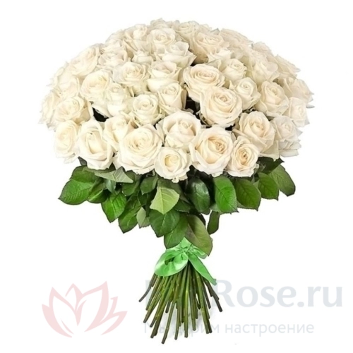 до 51 роза FunRose 51 Роза Эквадор Белый (45 см) 