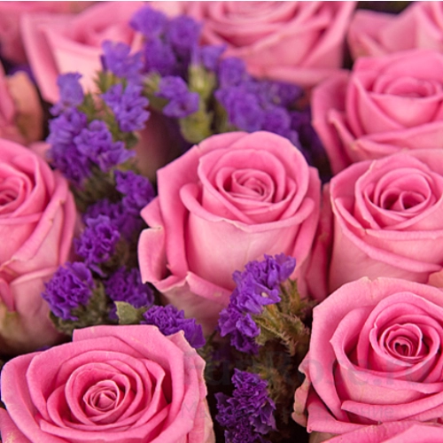 Розы FunRose 51 Роза Аква Розовый (60 см) 