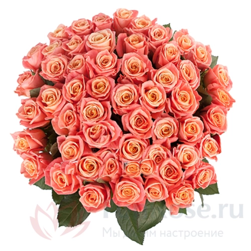 Розы FunRose 51 Роза Ред Наоми Оранжевый (70 см) 